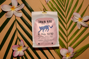 EL GATO 50/50 - light and bright