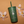 Bomb Hills Flower Straw Tumbler // 16oz