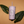 Bomb Hills Flower Straw Tumbler // 16oz