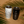 8oz MIIR // Java Kai x Dead Gringos // Black or White