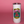 New 16oz Parakeet Hunting Club Tumbler
