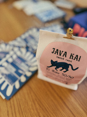 EL GATO 50/50 - light and bright